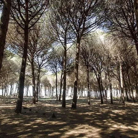 Emi's Villa Golem (Tirana)