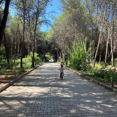 Emi's * Golem (Tirana)