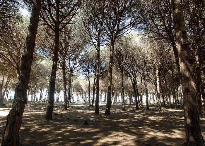 Emi's Villa Golem (Tirana)